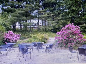 Restauration en plein air