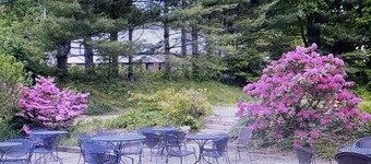 Downtown-walk to Main st Blowing Rock-2nd floor/pets<35lb/close to skiing