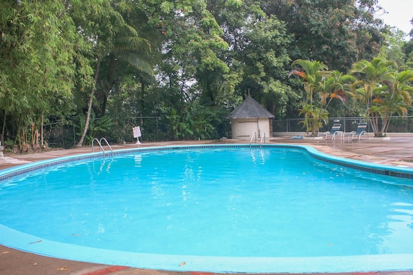Outdoor pool - The Blue Mahoe Treehouse (St. Ann's Bay)