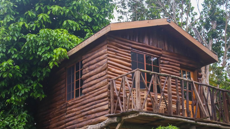 The Blue Mahoe Treehouse