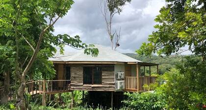The Blue Mahoe Treehouse