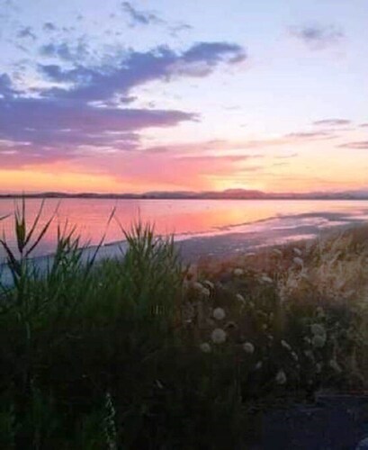 Romantic apartment in a beautiful garden just 5' from the centre