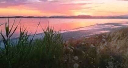 Romantic apartment in a beautiful garden just 5' from the centre