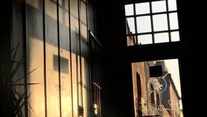 A room with a large window, a potted plant, and a view of a building outside. - Lu De Anda (San Luis Potosi)