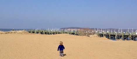 Plage à proximité, chaises longues, serviettes de plage