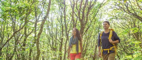 Dos personas caminando por un bosque con un sendero despejado.