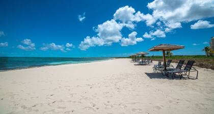 Beautiful Ocean View 3 Bedroom Condo on the Beach