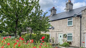 A stone house with a garden full of red and purple poppies, surrounded by trees and a clear sky.