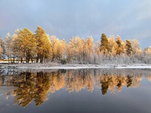 Un paisaje invernal sereno con un lago tranquilo que refleja árboles y un cielo despejado.