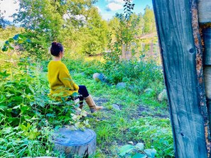 Cabin | Property grounds