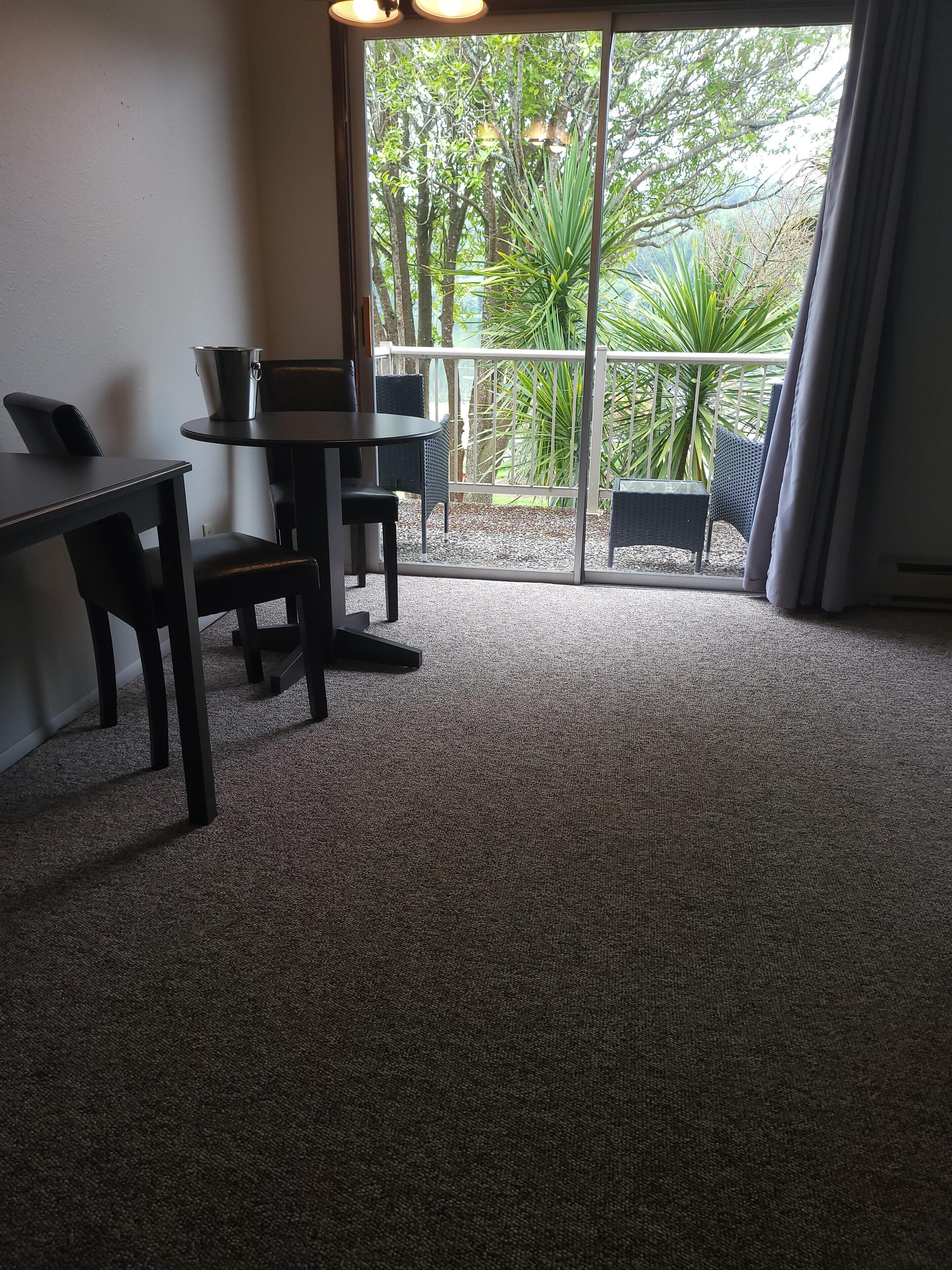 Una habitación con suelo alfombrado, una mesa con sillas, un cubo y vistas a zonas verdes a través de un ventanal.