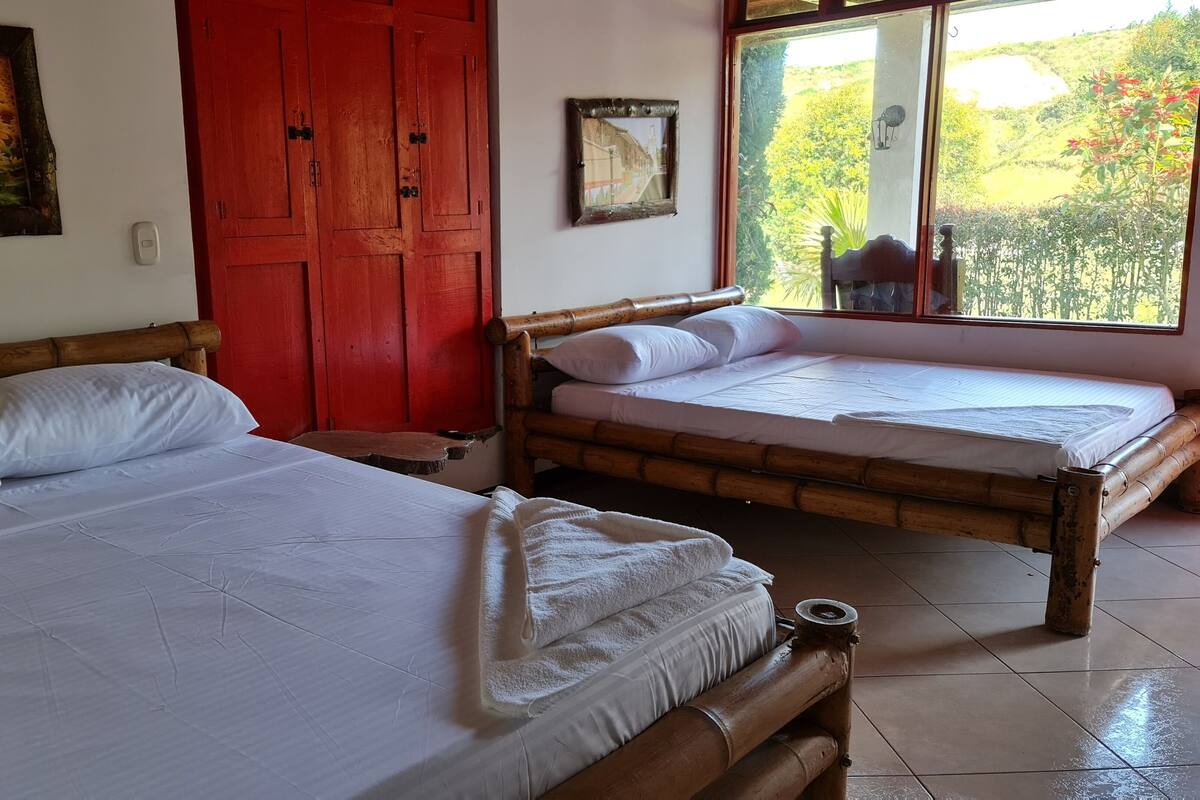 Two single beds with wooden frames and white bedding, a red door, and a window with a view of greenery.