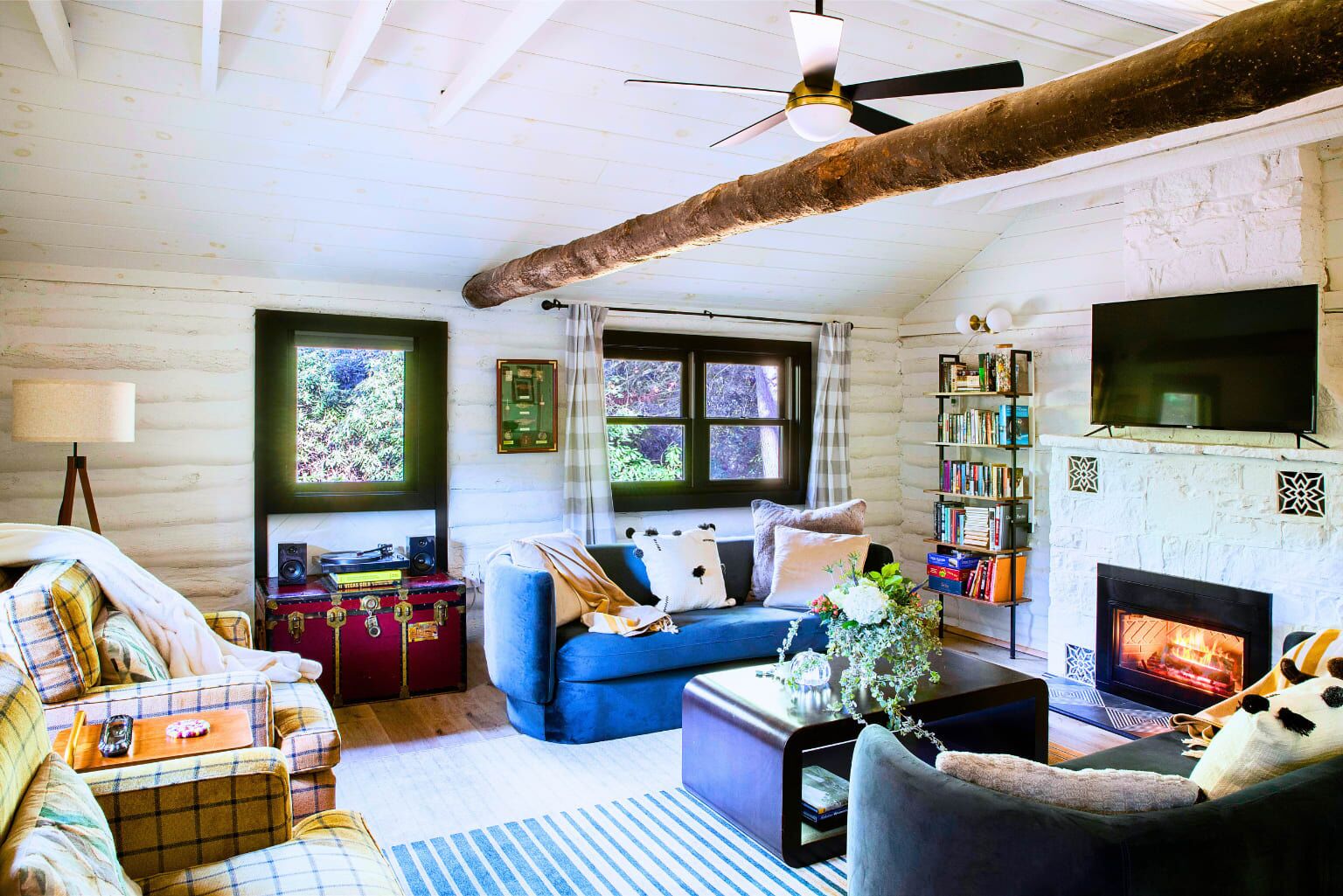 TV, peis, videospill og bøker