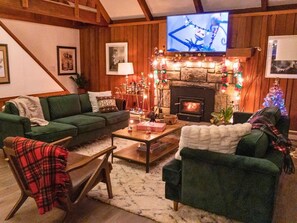 Télévision, cheminée, jeux vidéo, livres