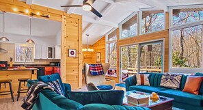 TV, fireplace, video games, books