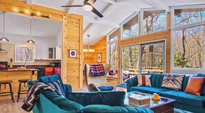 TV, caminetto, videogiochi, libri