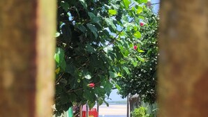 Mặt tiền nơi lưu trú