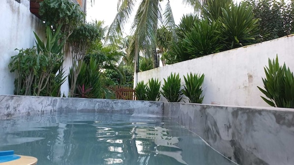 A swimming pool with a concrete edge, surrounded by lush greenery and a white wall.