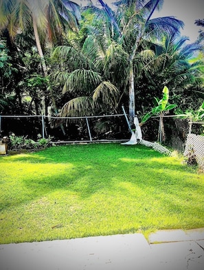 A grassy yard with a chain-link fence, palm trees, and a hammock.