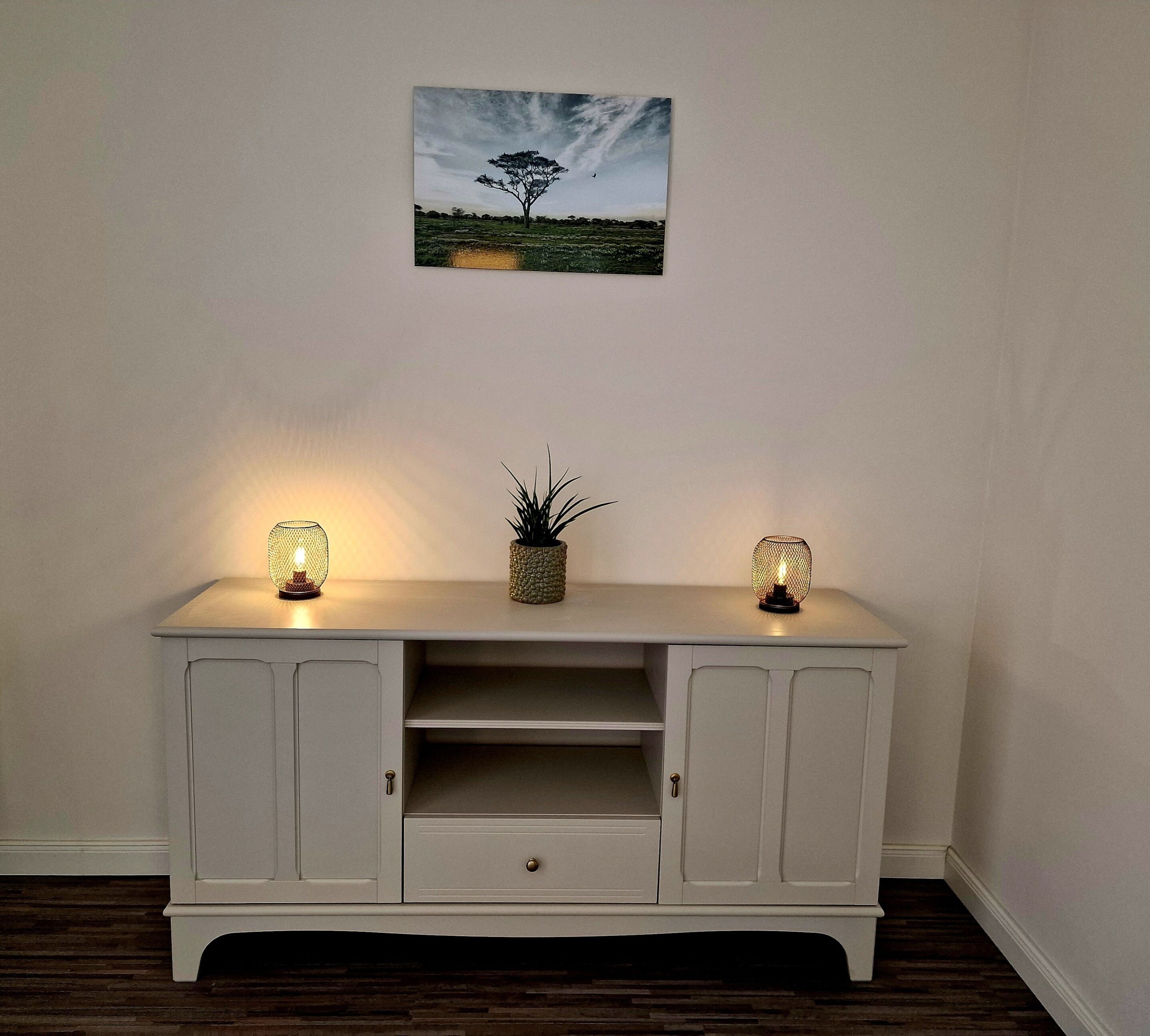 Ein weißes Schranksystem mit zwei Wandlampen, einem kleinen Topfpflanzen und einem Landschaftsbild an der Wand.