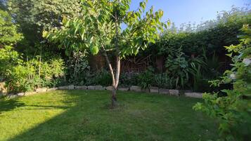 A well-maintained garden with a variety of plants and a small tree in the center.