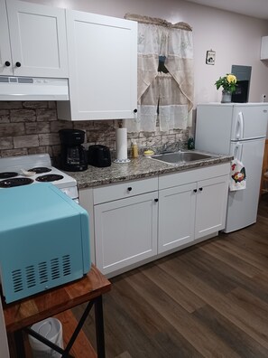 Frigorífico, microondas, horno y placa de cocina