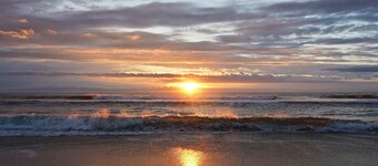 Wonderful dog-friendly home w/deck, W/D, large backyard, & A/C