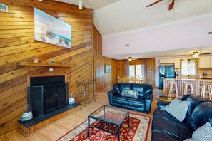 电视、DVD 播放器