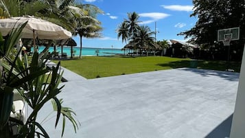 Terras