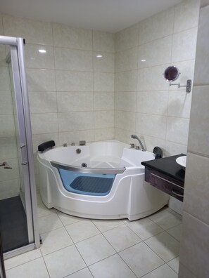 Regadera, tina de hidromasaje, secadora de cabello, bidet 