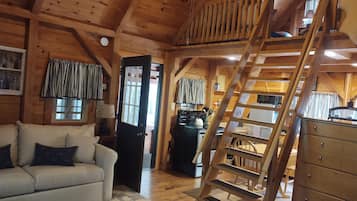 Smart TV, DVD player, books, video library