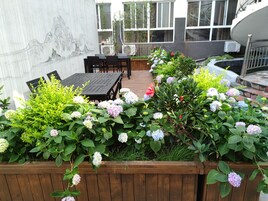 A patio with a wooden table and chairs, surrounded by a garden with hydrangea plants.
