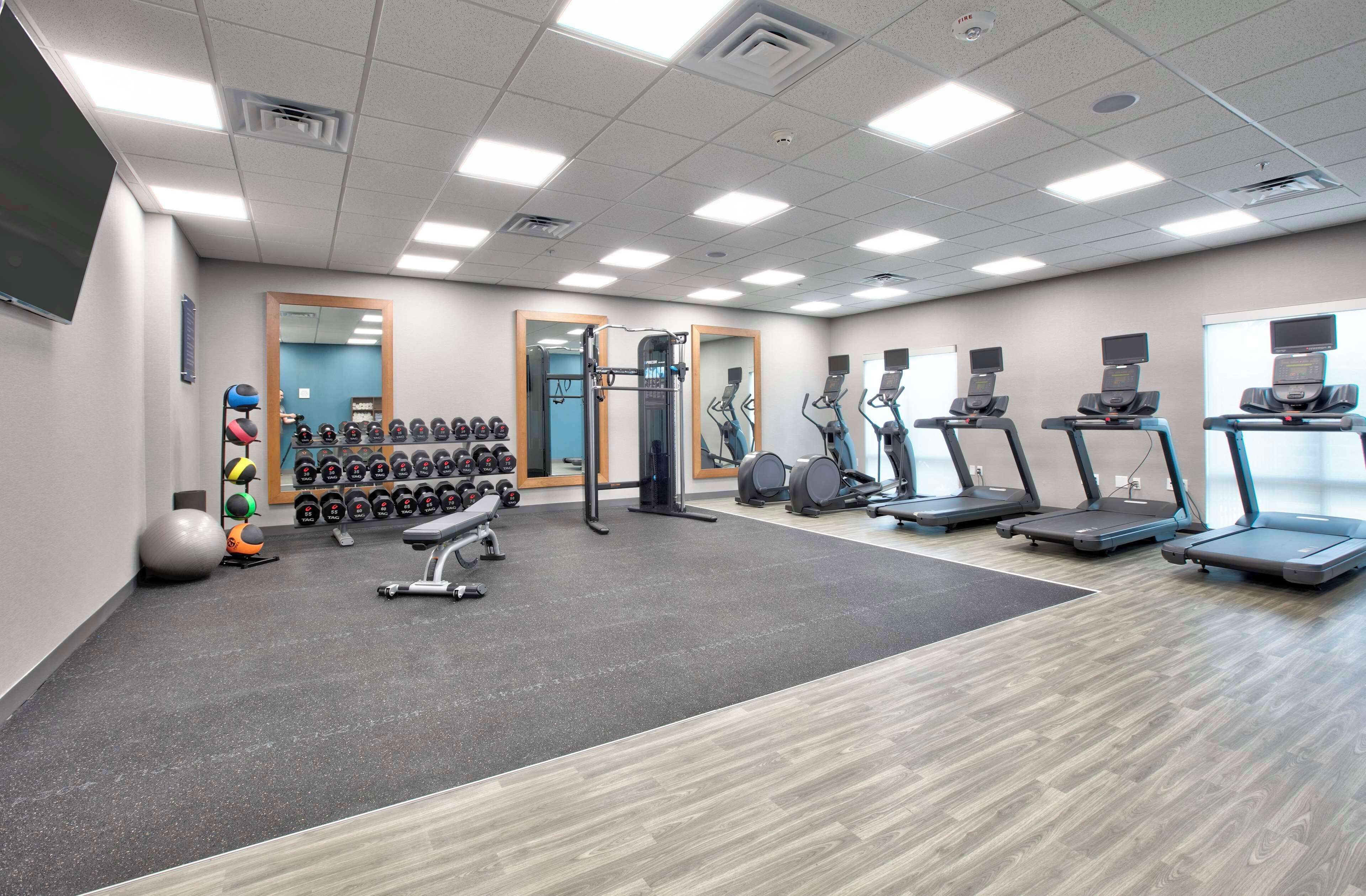 A gym with treadmills, elliptical machines, free weights, and a squat rack.