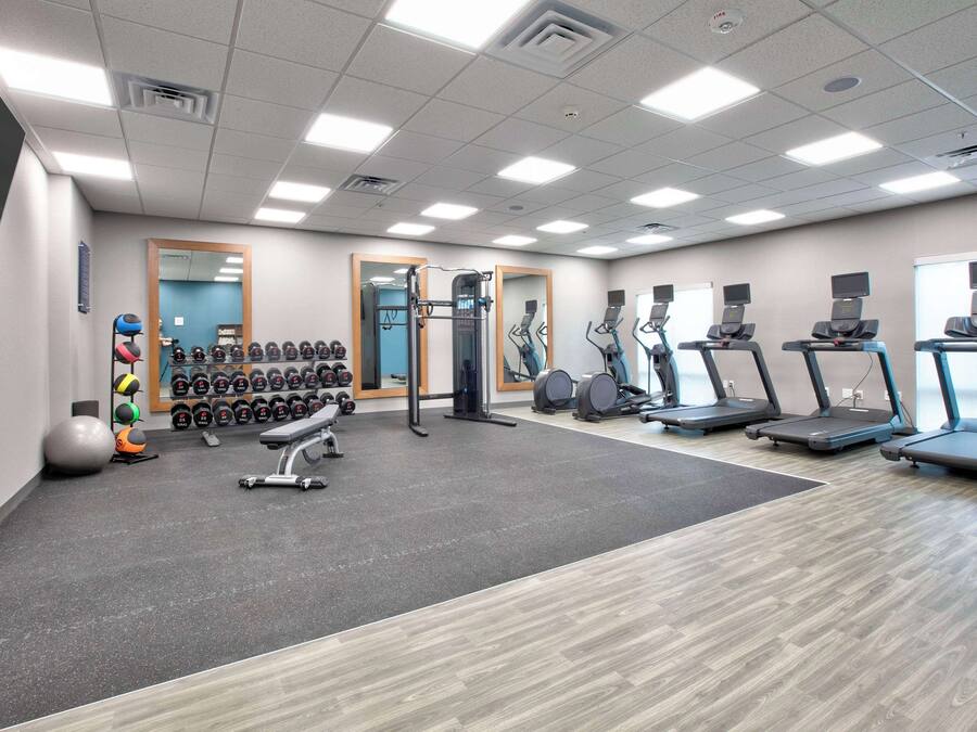 A gym with treadmills, elliptical machines, free weights, and a squat rack.