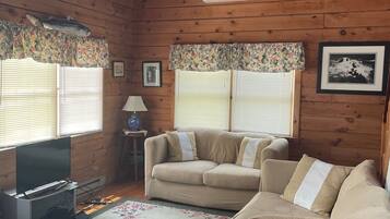 智能電視、書籍