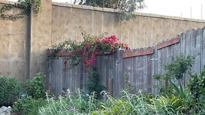 Un jardin où l’on trouve une grande variété de plantes, entouré d’une clôture en bois.