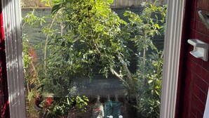 Une fenêtre donnant sur un jardin, un cadre de fenêtre blanc et un mur recouvert de carreaux rouges.