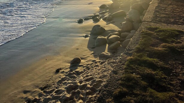 Une plage offrant une vue dégagée sur l’océan et un magnifique coucher de soleil.