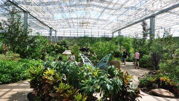 Overnatningsstedets område