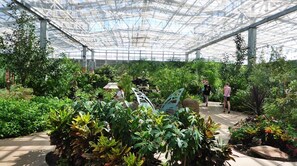 Overnatningsstedets område