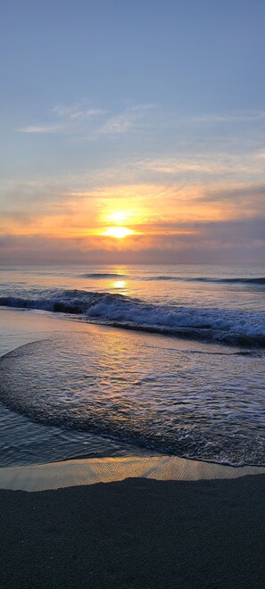 Playa en los alrededores y camastros 