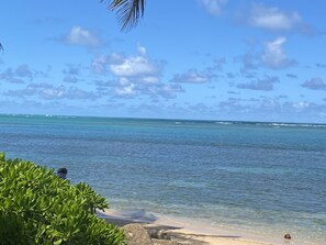 On the beach - Cozy tropical paradise- 1min from the beach! (Río Grande)