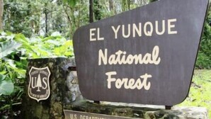 En skylt för nationalparken El Yunque, med USA:s jordbruksdepartements logotyp.
