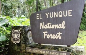 Property grounds - Cozy tropical paradise- 1min from the beach! (Río Grande)