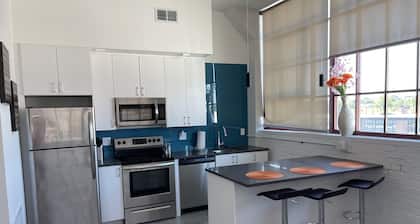Great 1 bd for travel nurse