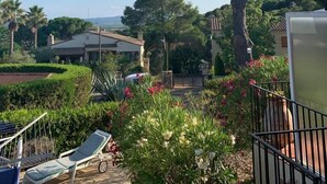 A garden with a large tree, a pool area with lounge chairs, and a building in the background. - Casa Gaudir - L'Estartit, Torre Vella (Estartit (L´))