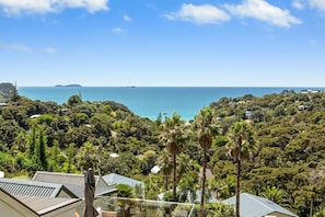 Beach/ocean view