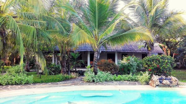 Relax by the pool surrounded by lush greenery and palm trees.