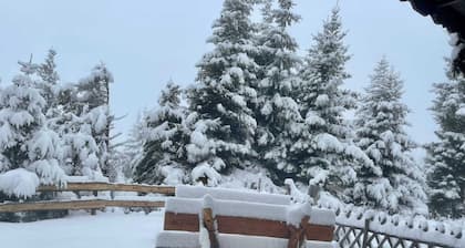 Almhaus 'Klippitz' mit direktem Zugang zur Skipiste, Garten und WLAN