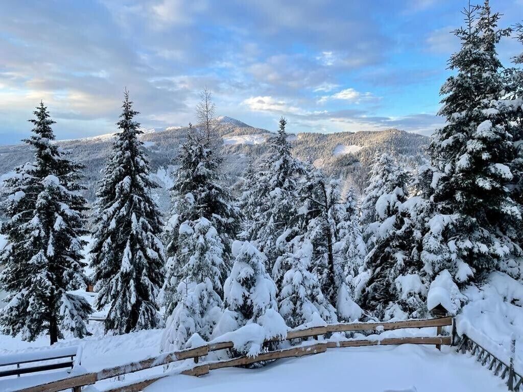 A snow-covered landscape with a wooden fence and evergreen trees.